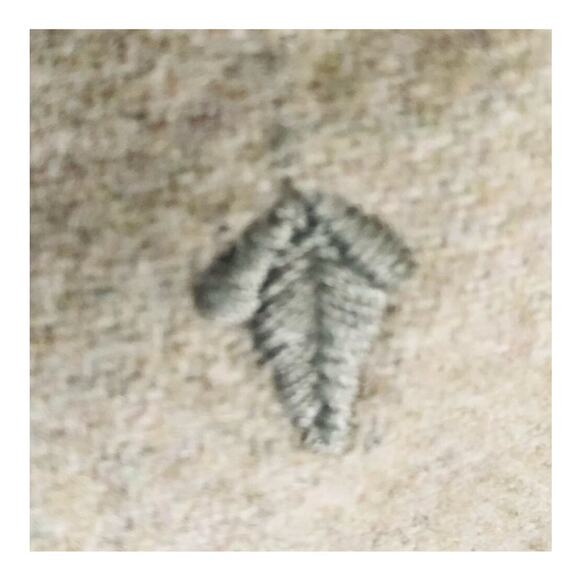 RRL Ralph Lauren Vintage Wool Green Embroidered Knee-Length Skirt 10 - Picture 7 of 16